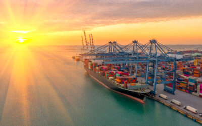 International Shipping Made Easy: Syfan’s Global Logistics Network